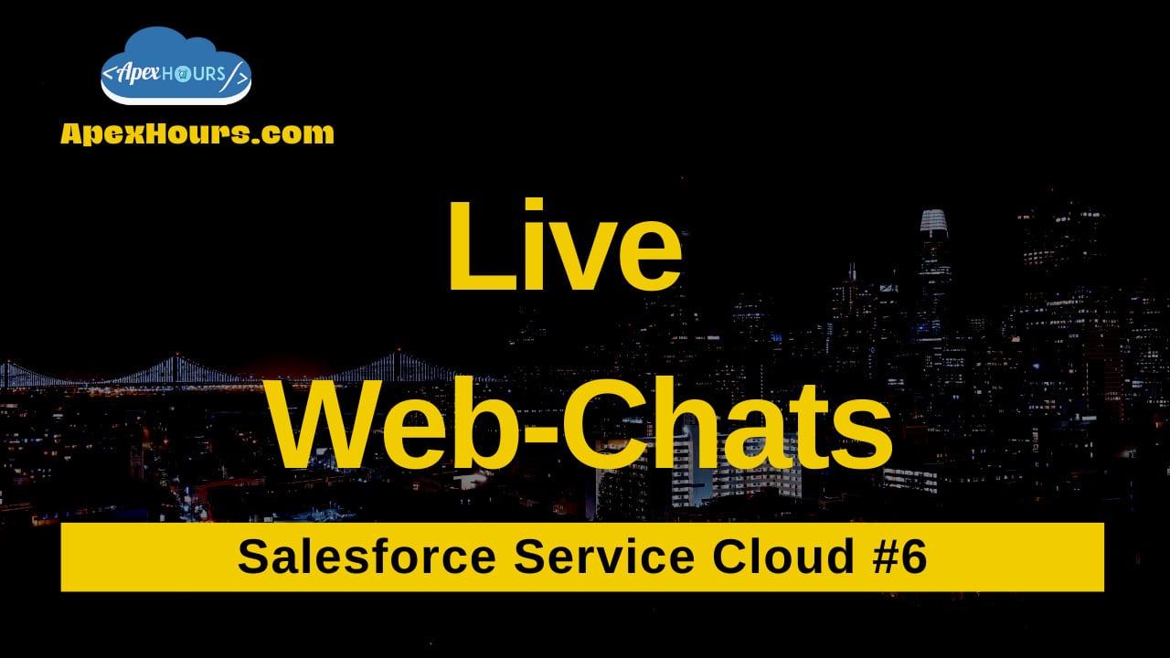 Salesforce Live Web Chat - Apex Hours
