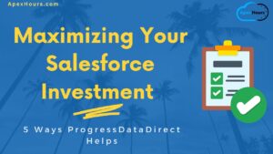 Maximizing Your Salesforce Investment
